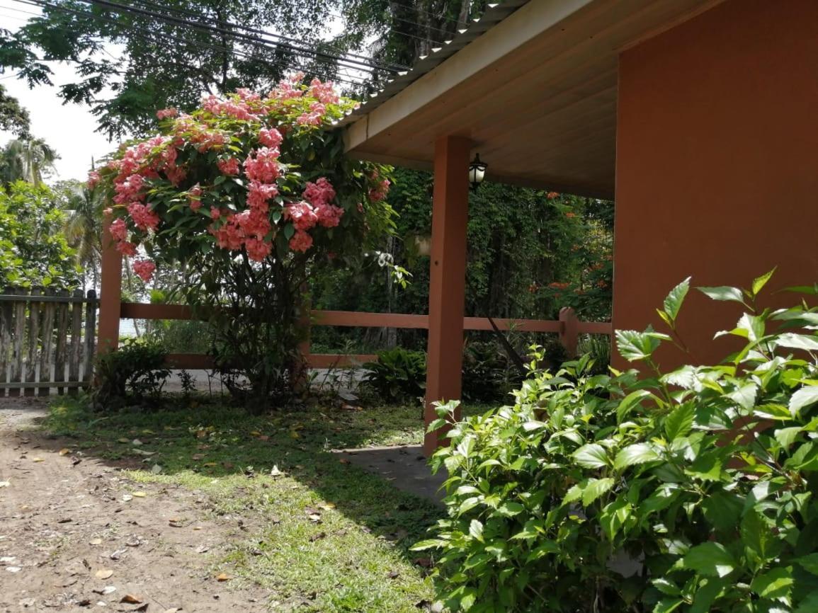 Cahuita Lodge Exterior photo